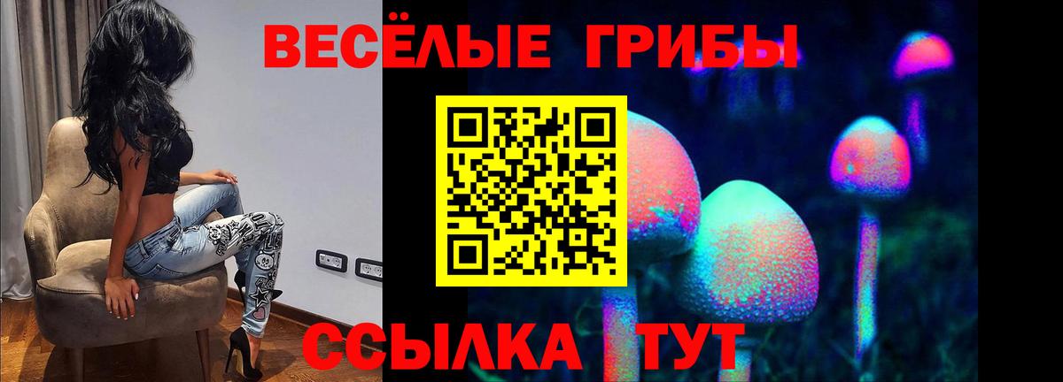 Галлюциногенные грибы MAGIC MUSHROOMS Медногорск