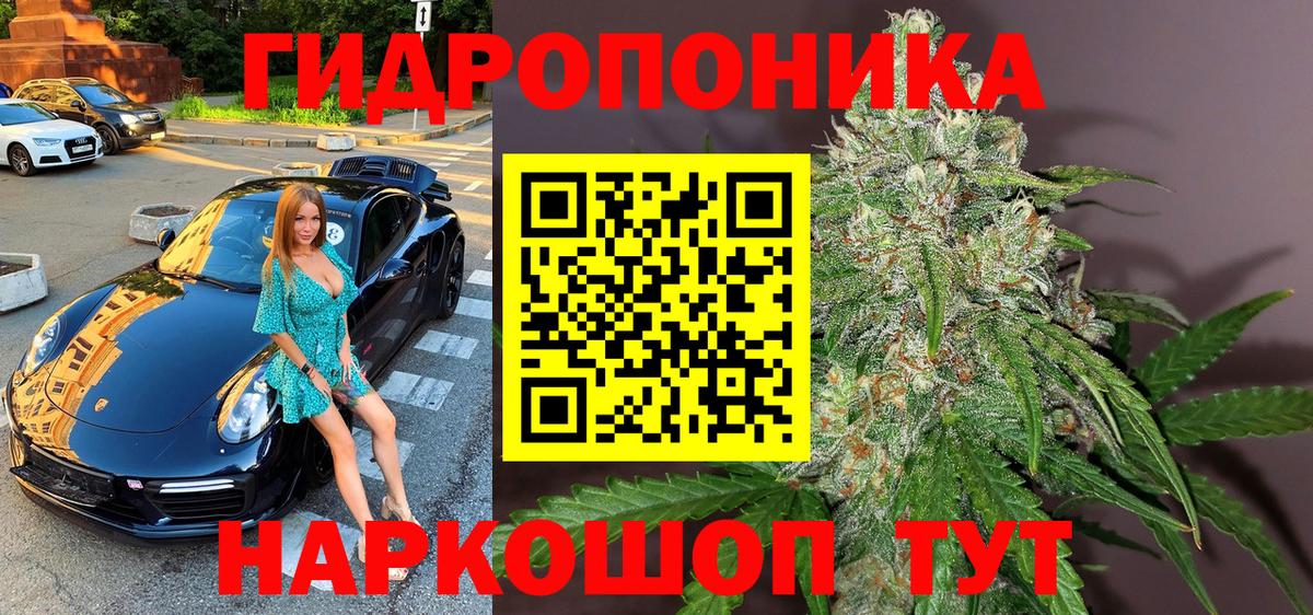 Шишки марихуана план  Шишки марихуана индика  Каннабис ГИДРОПОН  Шишки марихуана индика  Медногорск  Вход с VPN 